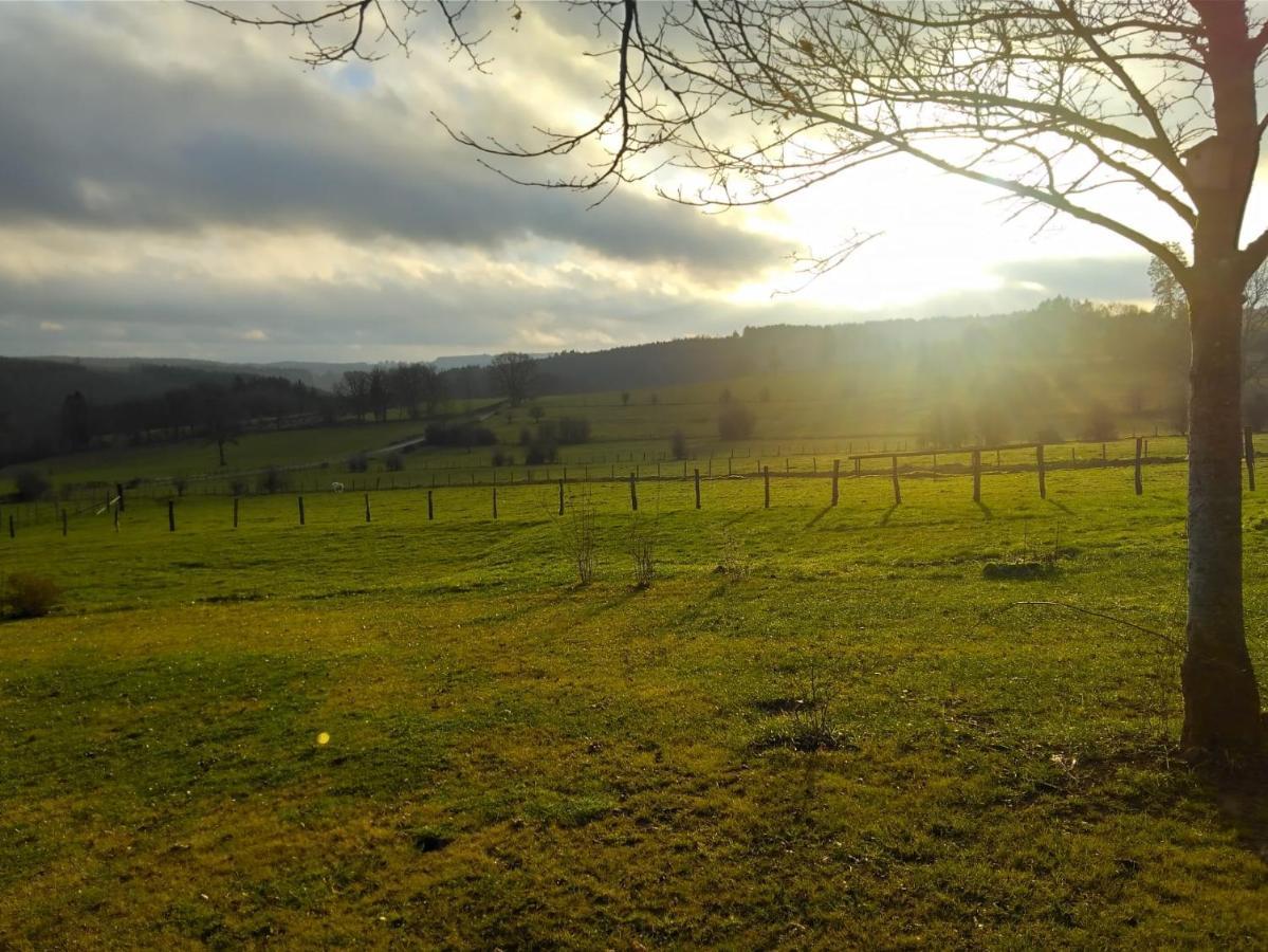 Abri De Jardin Villa Vielsalm Bagian luar foto